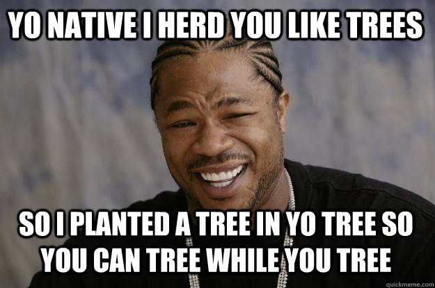 yo native i herd you like trees so i planted a tree in yo tree so you can tree while you tree  Xzibit meme
