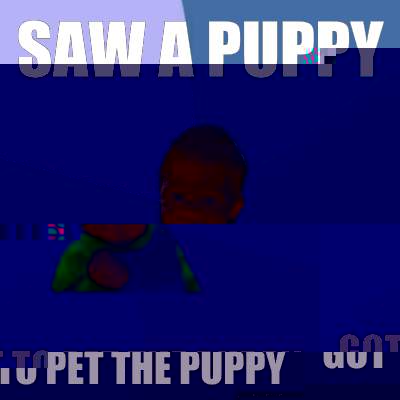 saw a puppy got to pet the puppy  Success Kid