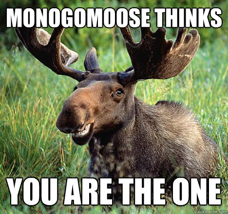 Monogomoose thinks you are the one - Monogomoose thinks you are the one  Monogomoose