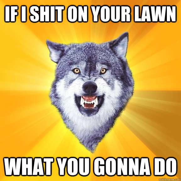 If i shit on your lawn what you gonna do  Courage Wolf