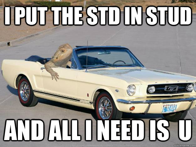 I put the STD in Stud and all i need is  u - I put the STD in Stud and all i need is  u  Pickup Dragon