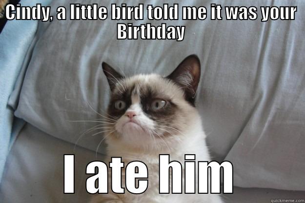 Grumpy Cat Celebrates! - CINDY, A LITTLE BIRD TOLD ME IT WAS YOUR BIRTHDAY I ATE HIM Grumpy Cat