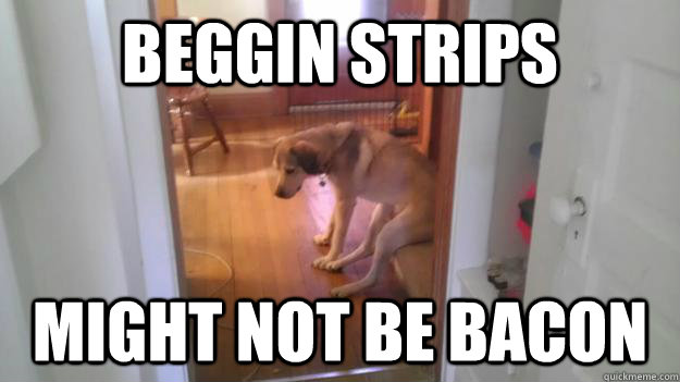 Beggin strips might not be bacon  