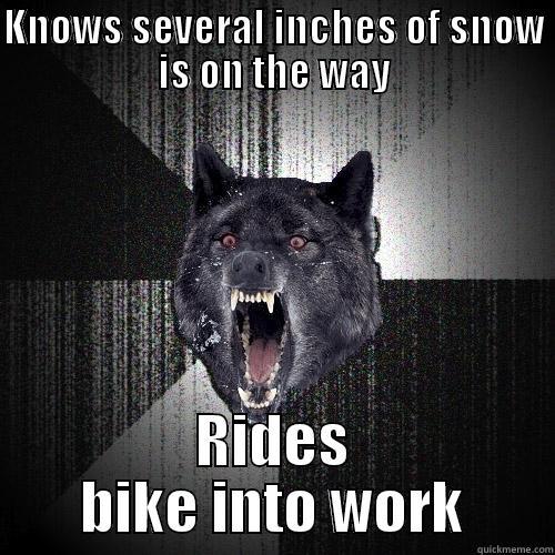 KNOWS SEVERAL INCHES OF SNOW IS ON THE WAY RIDES BIKE INTO WORK Insanity Wolf