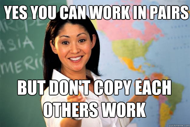 yes you can work in pairs but don't copy each others work   Unhelpful High School Teacher