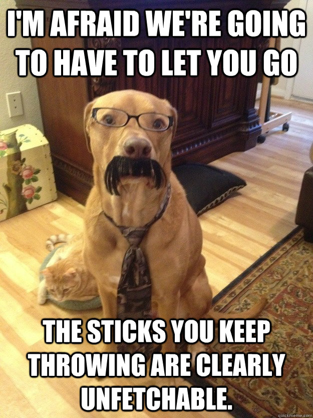 I'm afraid we're going to have to let you go The sticks you keep throwing are clearly unfetchable.  Boss Dog