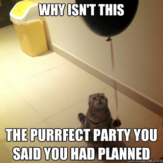 Why isn't this the purrfect party you said you had planned  Sad Birthday Cat