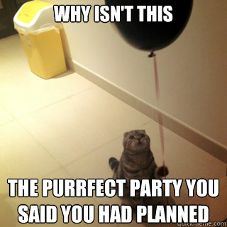 Why isn't this the purrfect party you said you had planned - Why isn't this the purrfect party you said you had planned  Sad Birthday Cat