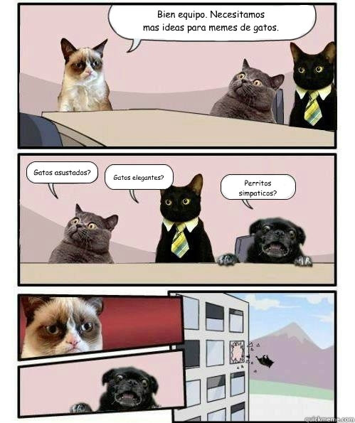 Bien equipo. Necesitamos
mas ideas para memes de gatos. Gatos asustados? Gatos elegantes? Perritos simpaticos? - Bien equipo. Necesitamos
mas ideas para memes de gatos. Gatos asustados? Gatos elegantes? Perritos simpaticos?  Kittens meeting