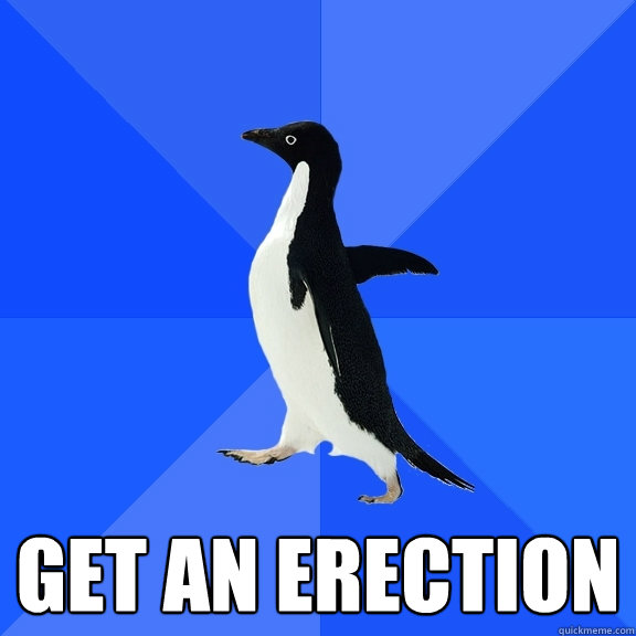  Get an erection  Socially Awkward Penguin