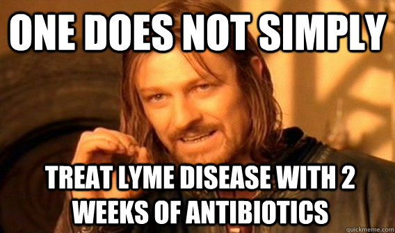 One does not simply treat Lyme disease with 2 weeks of antibiotics - One does not simply treat Lyme disease with 2 weeks of antibiotics  Boromir