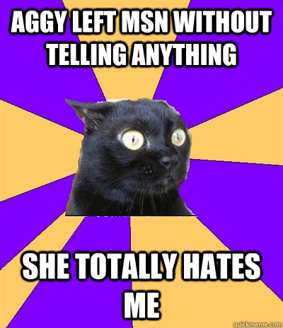 Aggy left msn without telling anything she totally hates me  Anxiety Cat