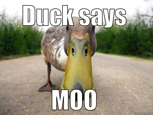 DUCK SAYS MOO Misc