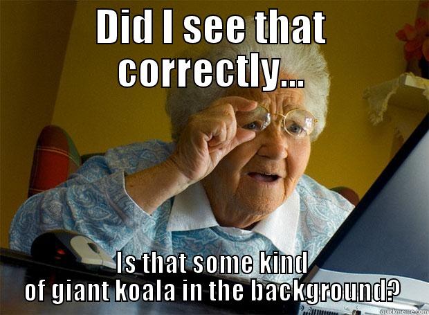 DID I SEE THAT CORRECTLY... IS THAT SOME KIND OF GIANT KOALA IN THE BACKGROUND? Grandma finds the Internet