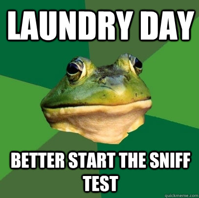 Laundry day better start the sniff test   Foul Bachelor Frog