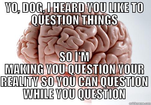 YO, DOG, I HEARD YOU LIKE TO QUESTION THINGS SO I'M MAKING YOU QUESTION YOUR REALITY SO YOU CAN QUESTION WHILE YOU QUESTION Scumbag Brain