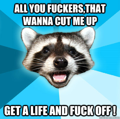 All you fuckers,that wanna cut me up Get a life and fuck off !  Lame Pun Coon