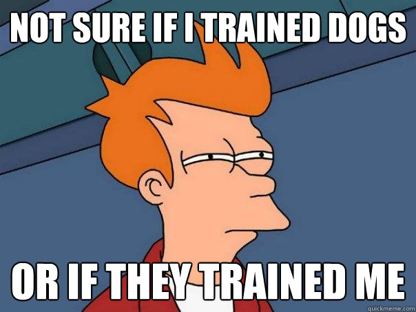 Not sure if i trained dogs Or if they trained me  Futurama Fry