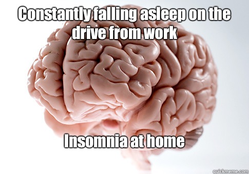 Constantly falling asleep on the drive from work Insomnia at home
  Scumbag Brain