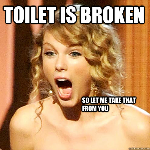 Toilet is broken So let me take that from you   Taylor Swift
