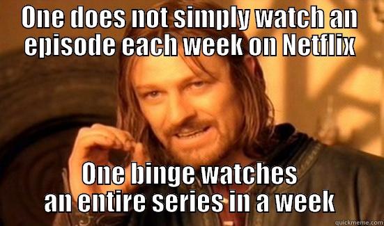 Binge watching on Netflix  - ONE DOES NOT SIMPLY WATCH AN EPISODE EACH WEEK ON NETFLIX ONE BINGE WATCHES AN ENTIRE SERIES IN A WEEK Boromir