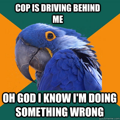 cop is driving behind me  oh god i know i'm doing something wrong  Paranoid Parrot