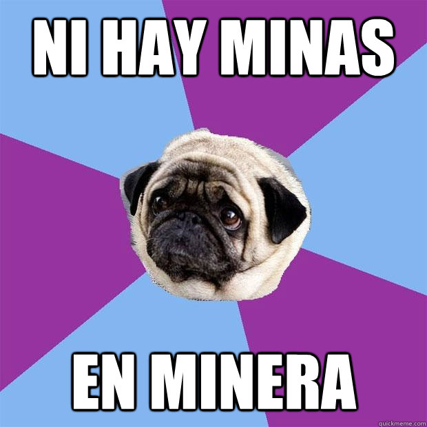 NI HAY MINAS EN MINERÍA   Lonely Pug