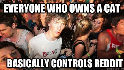 Everyone Who owns a cat Basically controls reddit  Sudden Clarity Clarence