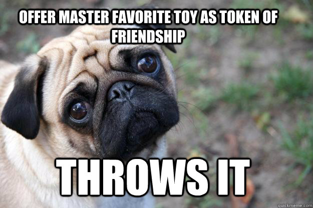 Offer master favorite toy as token of friendship Throws it  First World Dog problems