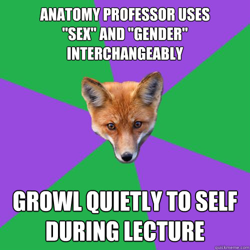 ANATOMY PROFESSOR USES 
