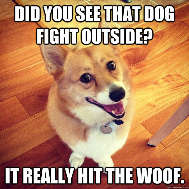Did you see that dog fight outside? It really hit the woof.  Bad Pun Corgi