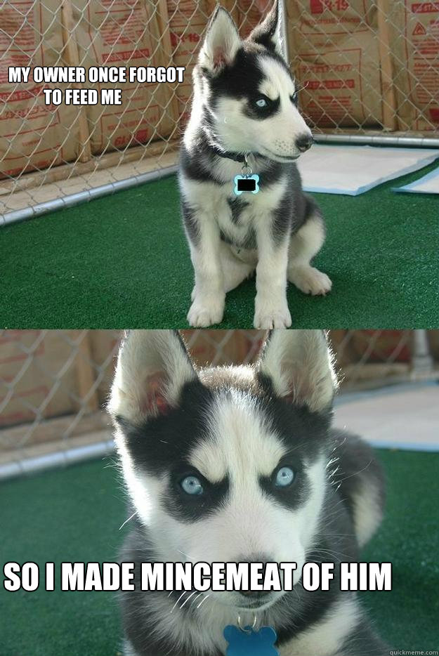 My owner once forgot
           to feed me so i made mincemeat of him  Insanity puppy