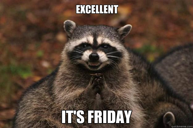 Excellent It's friday  Evil Plotting Raccoon