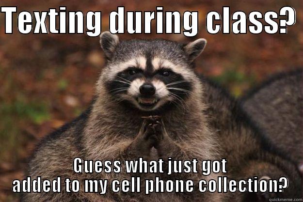 Cunning texting - TEXTING DURING CLASS?  GUESS WHAT JUST GOT ADDED TO MY CELL PHONE COLLECTION? Evil Plotting Raccoon