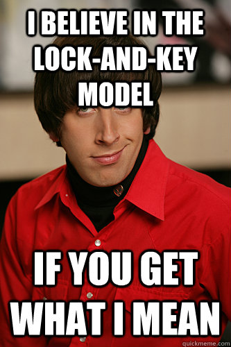 I believe in the lock-and-key model If you get what I mean  Howard Wolowitz
