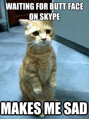 waiting for butt face on skype makes me sad - waiting for butt face on skype makes me sad  sad cat blog