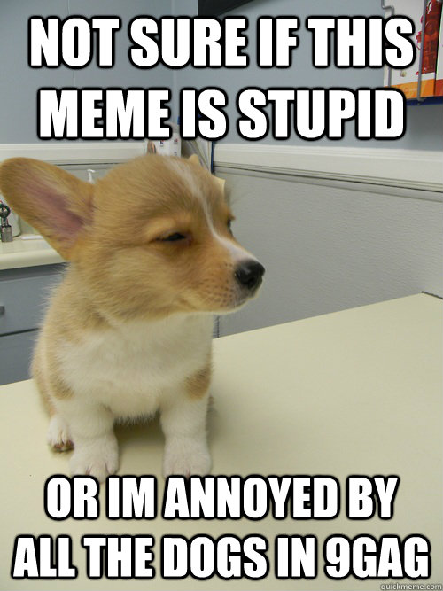 Not sure if this meme is stupid Or Im annoyed by all the dogs in 9gag  