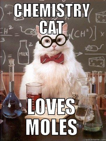 CHEMISTRY CAT LOVES MOLES Chemistry Cat