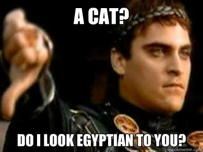 A Cat? Do I look egyptian to you?  Downvoting Roman