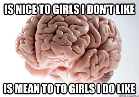 is nice to girls I don't like is mean to to girls i do like  Scumbag Brain