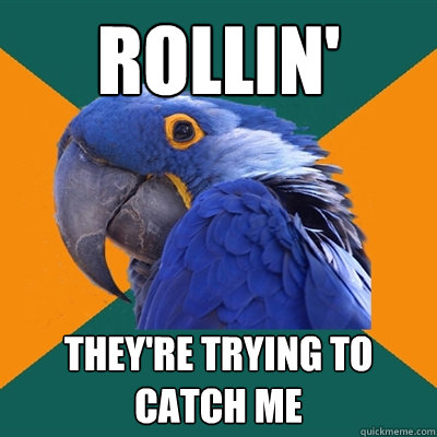 Rollin' they're trying to catch me  Paranoid Parrot