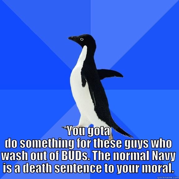  YOU GOTA DO SOMETHING FOR THESE GUYS WHO WASH OUT OF BUDS. THE NORMAL NAVY IS A DEATH SENTENCE TO YOUR MORAL. Socially Awkward Penguin
