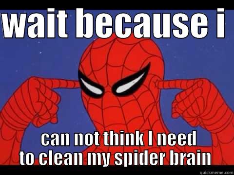 WAIT BECAUSE I    CAN NOT THINK I NEED TO CLEAN MY SPIDER BRAIN Misc