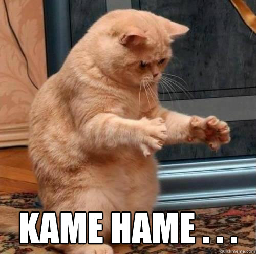  Kame Hame . . . -  Kame Hame . . .  Super Saiyan Cat