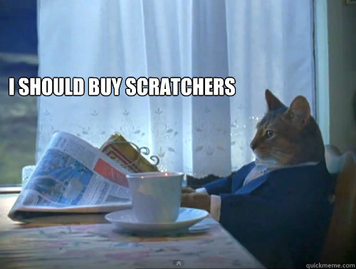 I should buy scratchers   The One Percent Cat