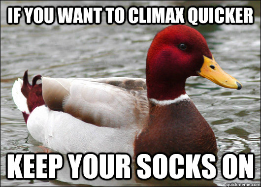 If you want to climax quicker keep your socks on  Malicious Advice Mallard