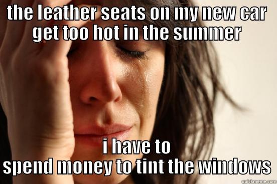 window tinting - THE LEATHER SEATS ON MY NEW CAR GET TOO HOT IN THE SUMMER I HAVE TO SPEND MONEY TO TINT THE WINDOWS First World Problems