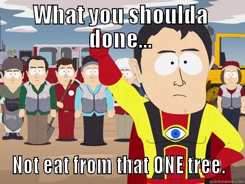 WHAT YOU SHOULDA DONE... NOT EAT FROM THAT ONE TREE.  Captain Hindsight