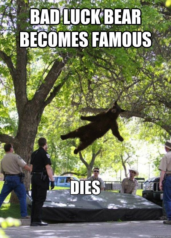 bad luck bear becomes famous dies - bad luck bear becomes famous dies  Misc