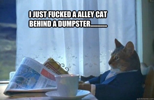 I just fucked a alley cat behind a dumpster............   Sophisticated Cat